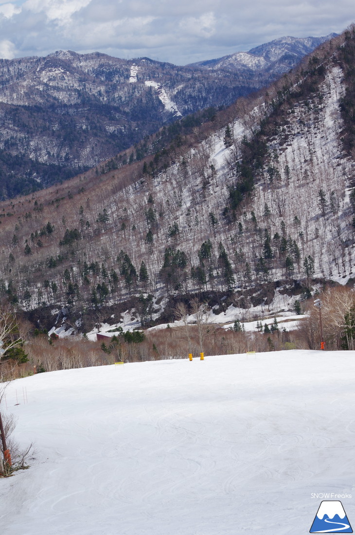 札幌国際スキー場 積雪豊富☆明日の営業最終日も、ほぼ全面滑走可能です!!